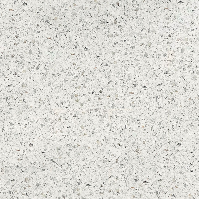 Sample of WHITE TERAZZO WT63