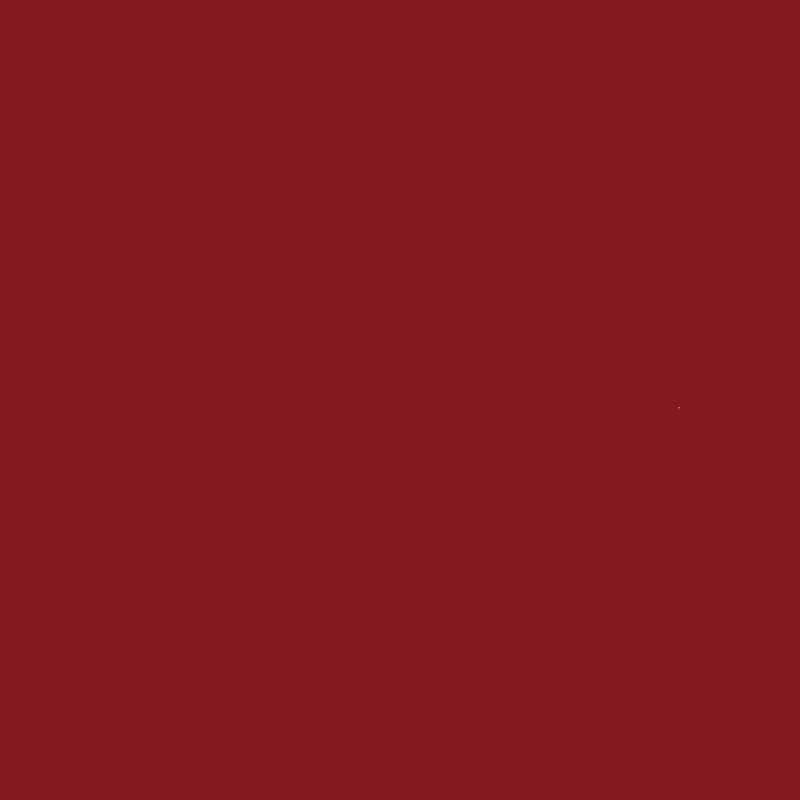 SAMPLE OF MATTE SILK RUBY RED MSRR388